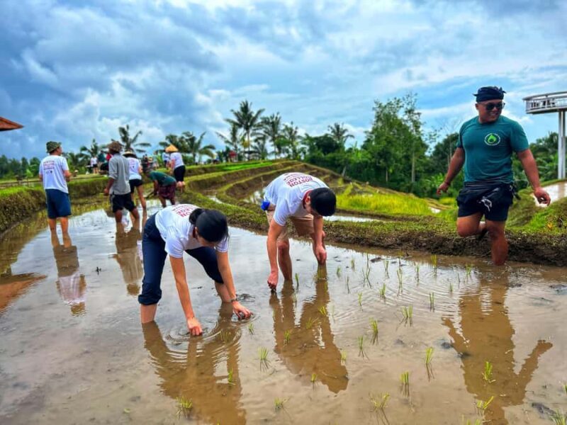 Jatiluwih Nature and Wellness Day Tour - Value and Booking