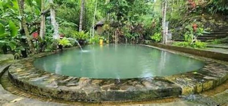 Jatiluwih Nature and Wellness Day Tour - Discovering Bali’s Rural Beauty: Itinerary Breakdown