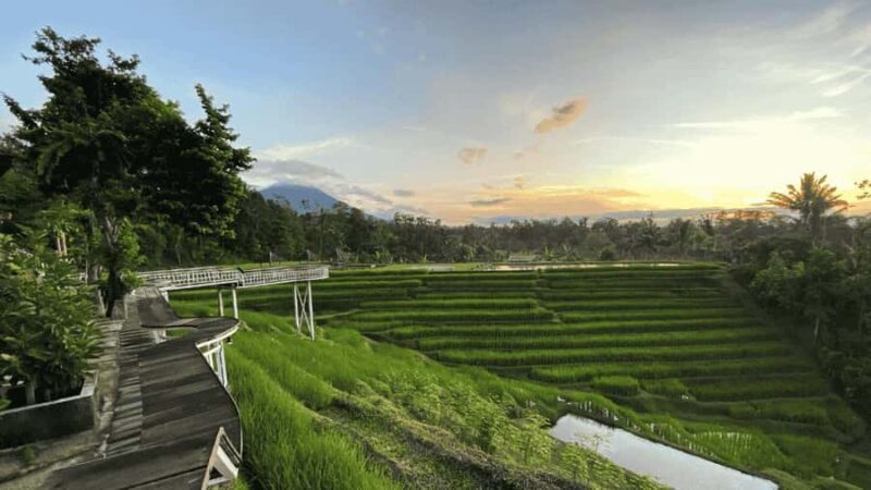 Jatiluwih Nature and Wellness Day Tour - Final Thoughts: Who Will Love This Tour?