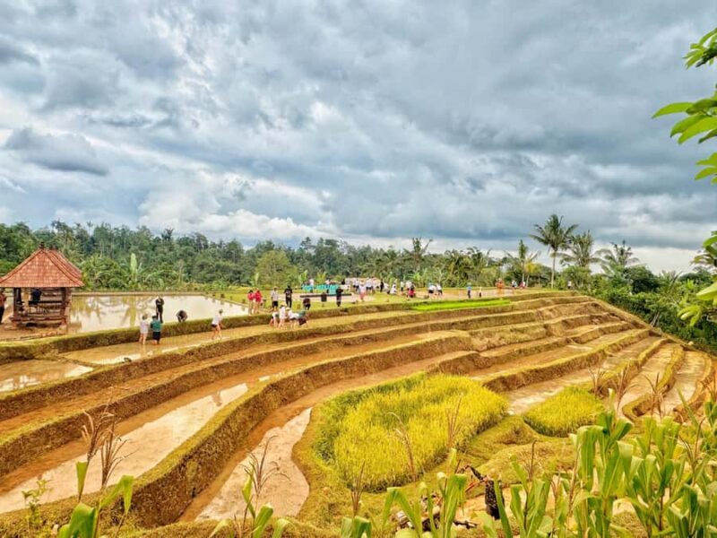 Jatiluwih Nature and Wellness Day Tour - Frequently Asked Questions