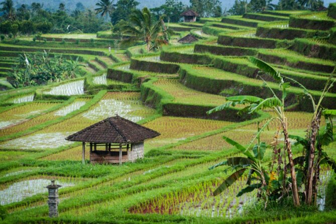 Jatiluwih Rice Terrace and Temple Tour - Itinerary Details