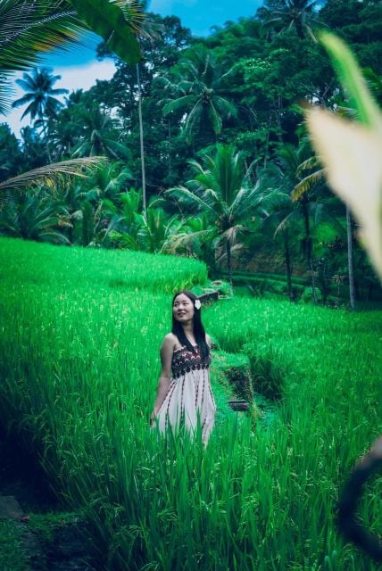 Jatiluwih Rice Terrace Mongky Forest and Baliswing West Tour - Tour Highlights