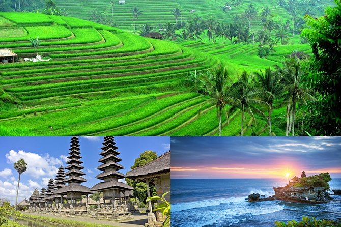 Jatiluwih Rice Terrace & Tanah Lot Tours - What To Expect