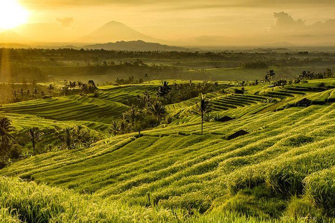 Jatiluwih Rice Terrace & Tanah Lot Tours - Highlights