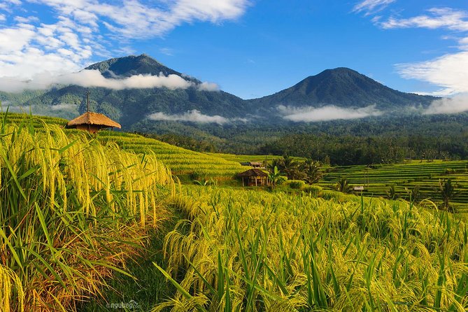 Jatiluwih Rice Terrace & Tanah Lot Tours - Itinerary