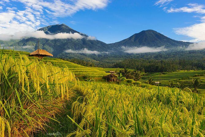 Jatiluwih Rice Terrace & Tanah Lot Tours - Who Will Love This Tour?
