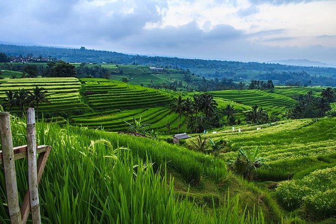 Jatiluwih Rice Terrace - World Culture Heritage From UNESCO Tour - Tour Cost and Payment Options