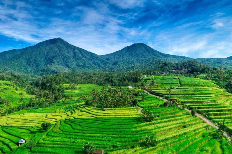 Jatiluwih Rice Terraces Electric Bike Tour in Bali - Jatiluwih is best seen at bicycle speed