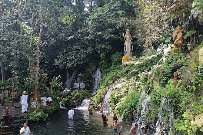 Jatiluwih Spiritual Journey of Melukat with Rice Terrace View - Good To Know