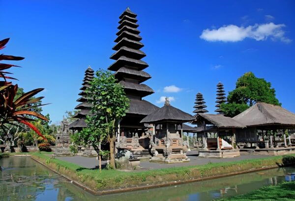 Jatiluwih VW Safari Bali Tour - Dietary Options