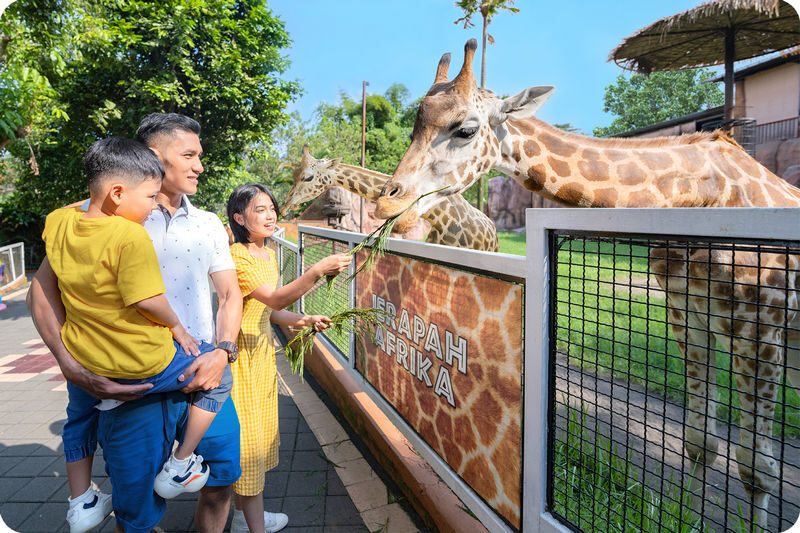 Jatim Park 2 (Batu Secret Zoo & Museum Satwa) - At a glance