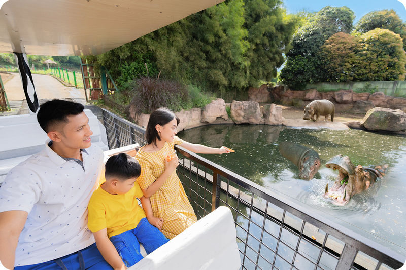 Jatim Park 2 (Batu Secret Zoo & Museum Satwa) - What makes Jatim Park 2 different
