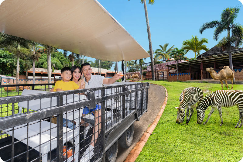 Jatim Park 2 (Batu Secret Zoo & Museum Satwa) - Choosing the right ticket package
