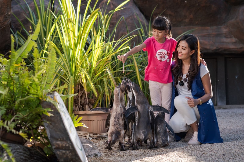 Jatim Park 2 (Batu Secret Zoo & Museum Satwa) - Should you book Jatim Park 2?