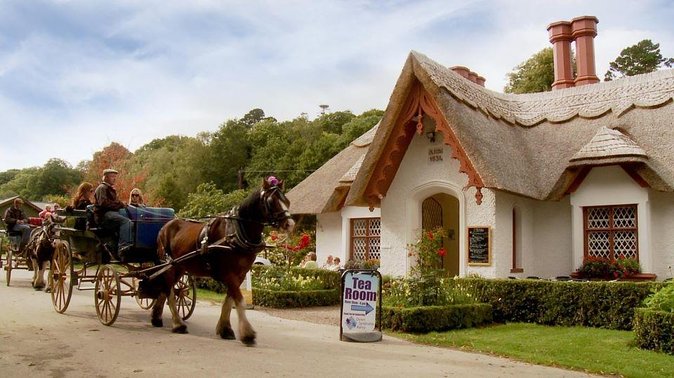 Jaunting Car Tour to Ross Castle From Killarney - What To Expect