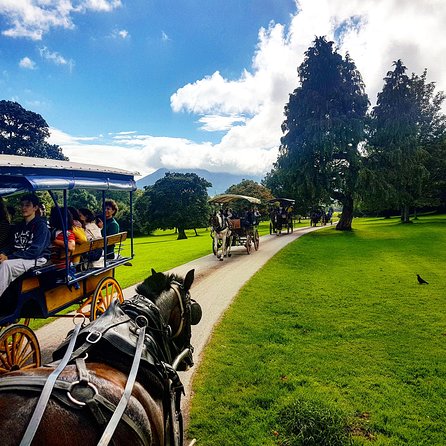 Jaunting Car Tour to Ross Castle From Killarney - Additional Info and Reviews