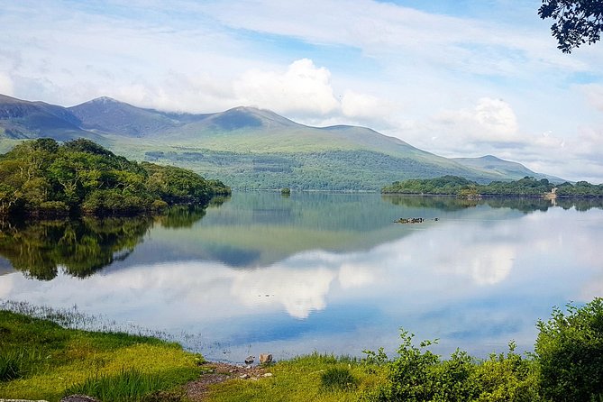 Jaunting Car Tour to Ross Castle From Killarney - Explore Killarney National Park