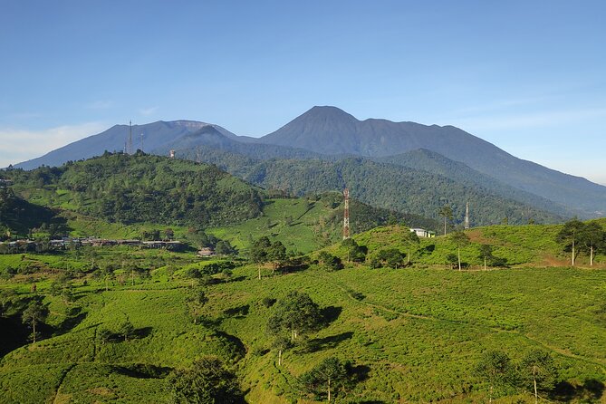 Java Trip From Jakarta - Transportation Options
