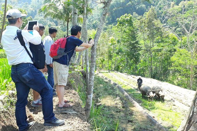 Java Village and Temple Tour from Borobudur - A Deep Dive into the Java Village and Temple Tour