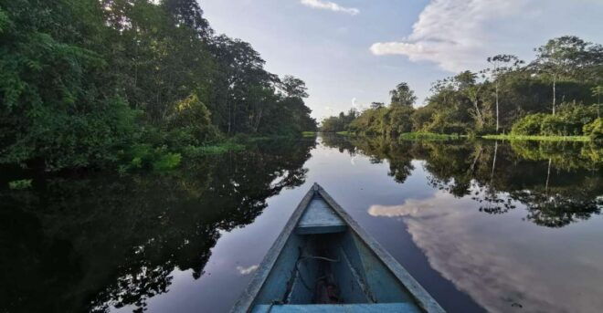 Javari Expedition - Highlights of the Expedition