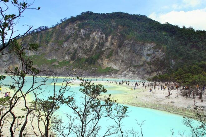 Javas Highlight Guided Tour From Jakarta or Bali - Included Services and Amenities