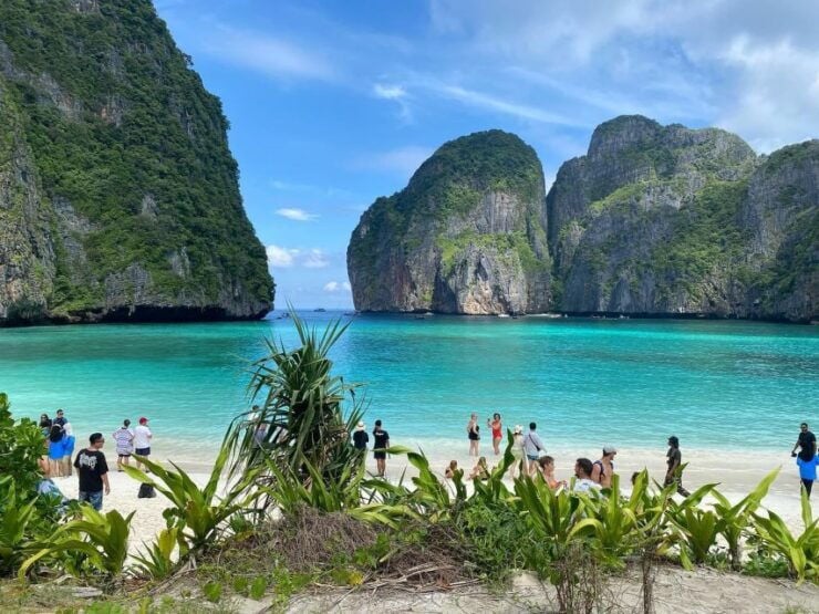Jaw : the Only Shark's Tour in Koh PHi PHi - Activity Details
