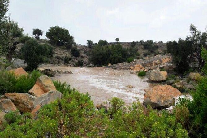 Jebel Akhdar Tour ( per Vehicle) - Good To Know