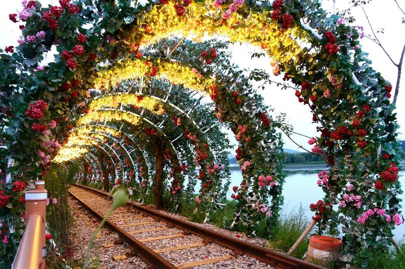 Jebu Island Cable Car & Rail Bike & Korean Folk Village Day Tour - Three outings, one long day from Seoul