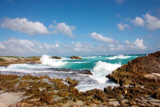 Jeep Adventure Cozumel Island and San Gervasio Mayan Ruins - Important Considerations