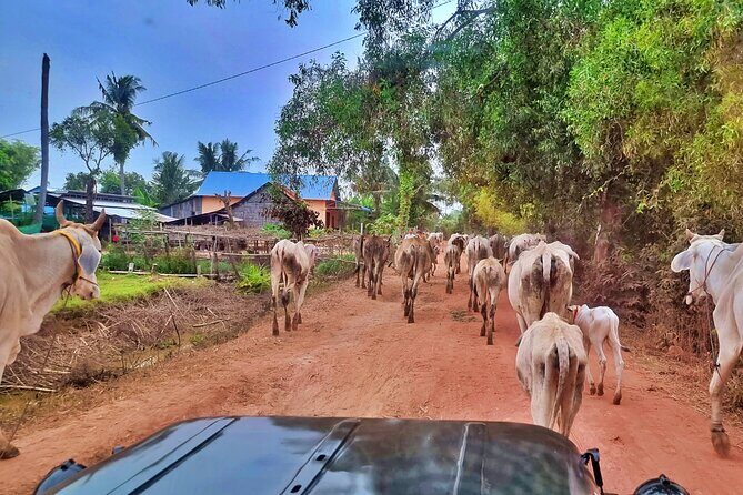 Jeep and Boat Tour in Kampong Phluk - A Detailed Look at the Kampong Phluk Jeep & Boat Tour