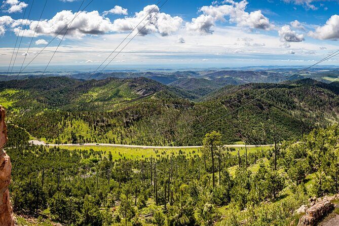 JEEP Bison Safari at Custer State Park - Family Friendly Prices - Final Thoughts: Who Is This Tour Best For?