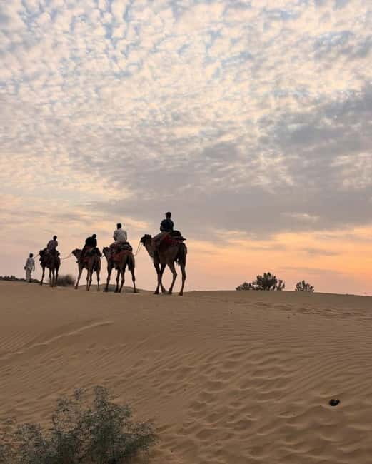 Jeep & Camel Ride, Musical Evening in The Desert Luxury Camp - Final Thoughts