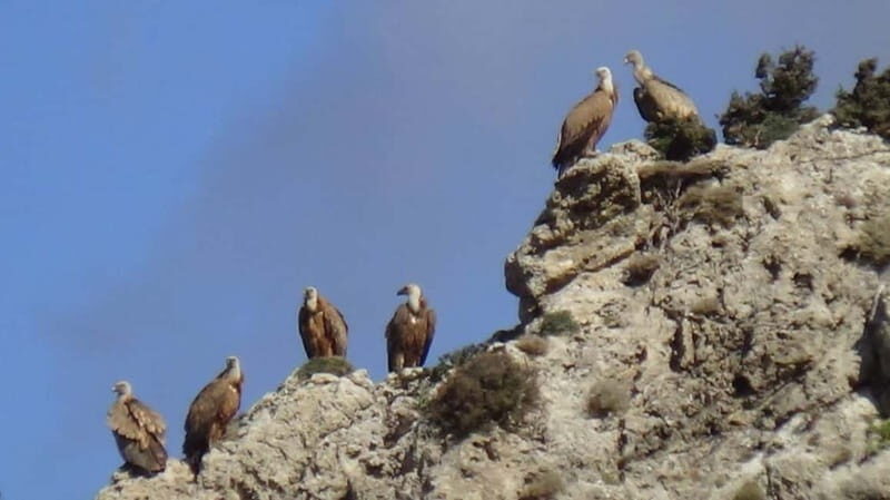 Jeep Driving Tour to Thripti Mountains and typical villages - Practical Details and Value for Money