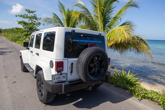 Jeep Exploration & All Inclusive Tortugas Beach Break (Private) - International Cruise Terminal - SSA Mexico and Puerta Maya - Cruise Terminal