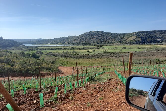 Jeep Half Day Tour of Our Algarve Coast and Mountains - Tour Highlights