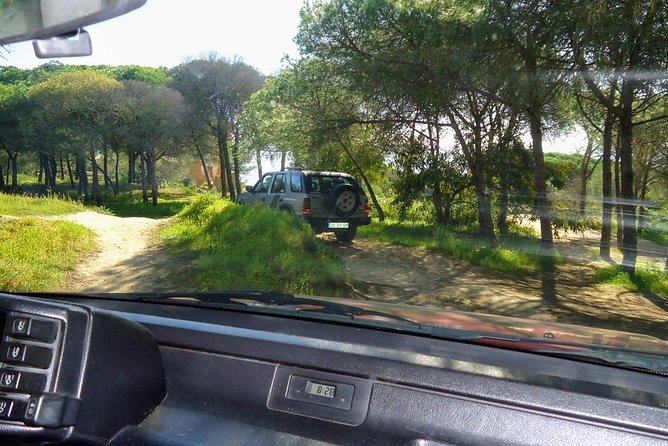 Jeep Half Day Tour of Our Algarve Coast and Mountains - Pickup and Transportation