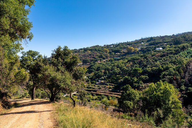 Jeep Safari #1 in Algarve - Tour Highlights