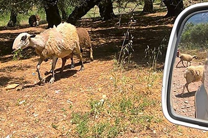Jeep Safari 4x4 Crete Real off Road Mountain Tracks With Lunch From Hersonissos - Booking Details