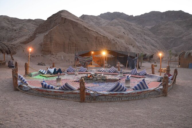 Jeep Safari Adventure in Marsa Alam Including Dinner - Operator Information