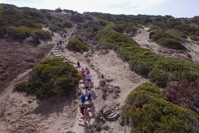 Jeep Safari Akamas Expedition From Limassol - Highlights of the Expedition