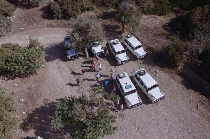 Jeep Safari Akamas Expedition From Limassol - The Sum Up