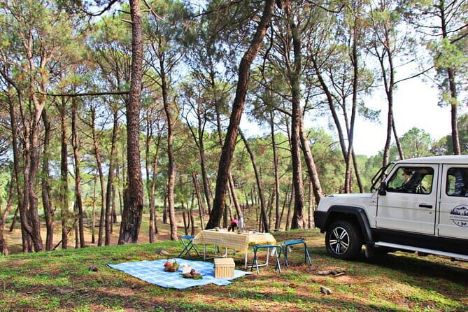 Jeep Safari and Picnic Tour - What to Expect from the Jeep Safari and Riverside Picnic Tour