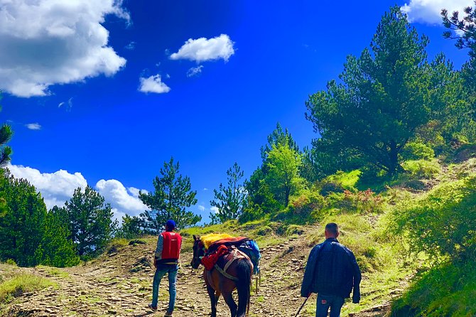 Jeep Safari Berat Hiking Caravan Mule in Tomori Holy Mount - Additional Information