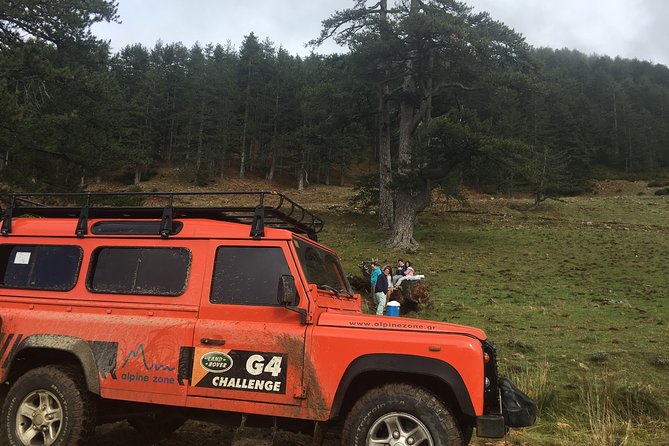 Jeep Safari Daily Tour - Traveler Photos
