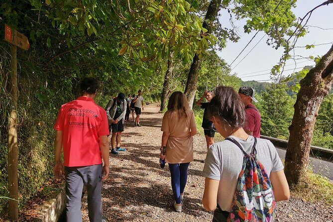 Jeep Safari in Pico Areeiro Santana Faial Full Day Tour - Good To Know