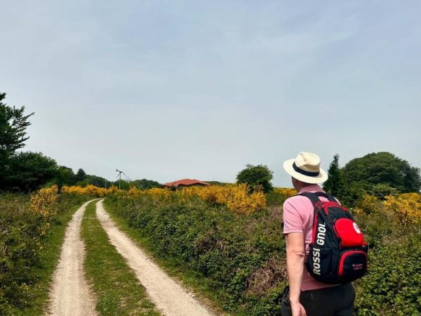Jeep Safari in the Aspromonte National Park - Frequently Asked Questions