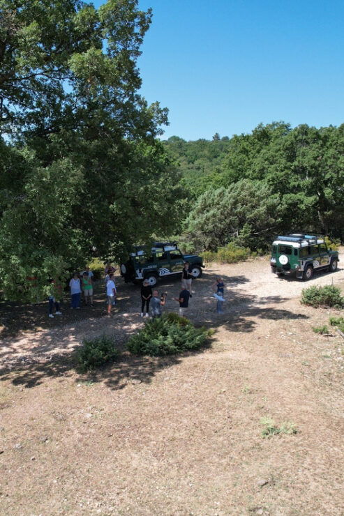 Jeep Safari in the Gargano National Park - Exclusive - Good To Know