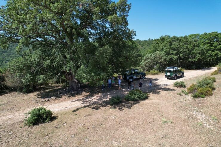 Jeep Safari in the Gargano National Park - Exclusive - Itinerary and Pickup Locations