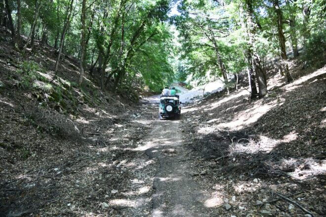 Jeep Safari in the Gargano National Park - Activities and Inclusions