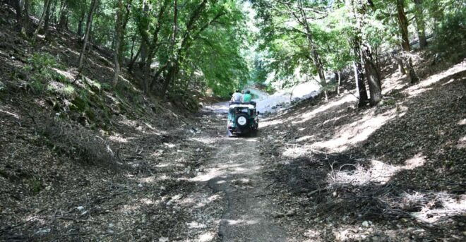 Jeep Safari in the Gargano National Park - Participant Information